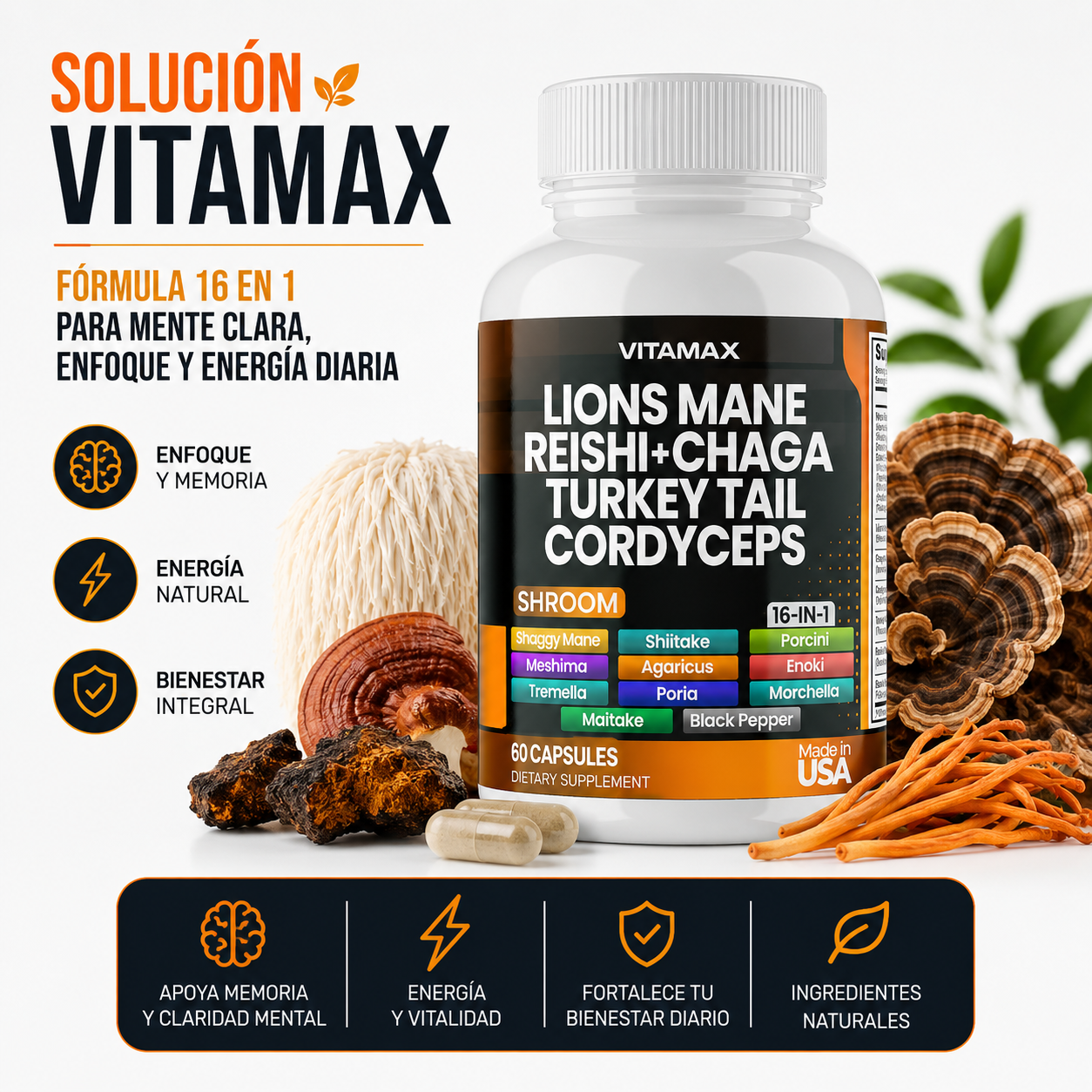 Vitamax® Complejo 10 Hongos 🍄🧠 | Memoria, Enfoque y Energía Natural ⚡ ENVÍO GRATIS