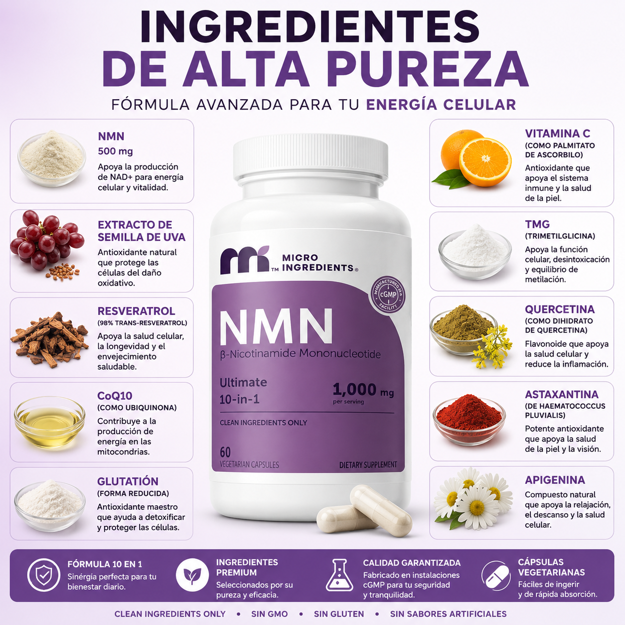 Complejo NMN