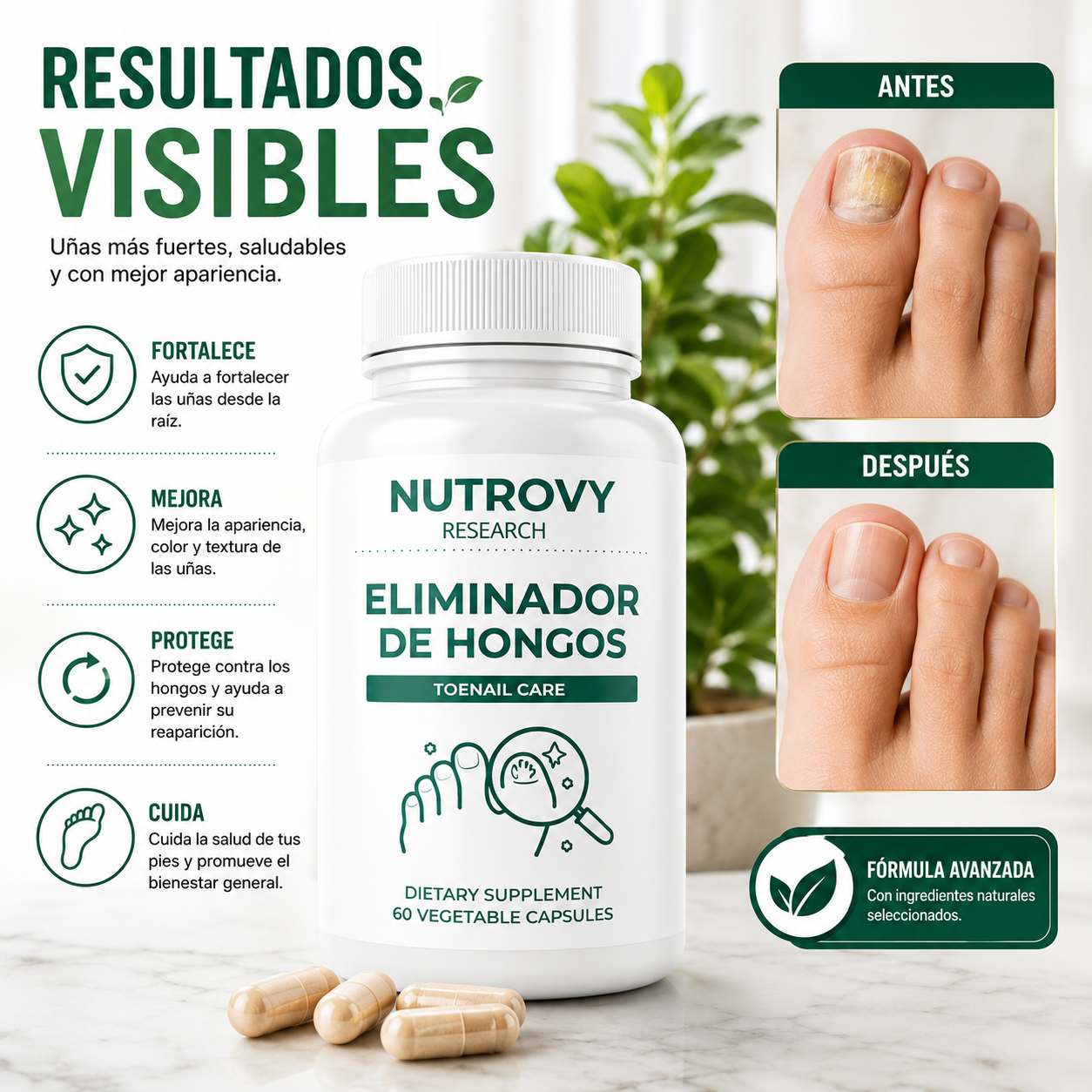 NUTROVY FUNGAL BALANCE 60 CÁPSULAS – APOYO BOTÁNICO PARA UÑAS Y PIEL 🌿